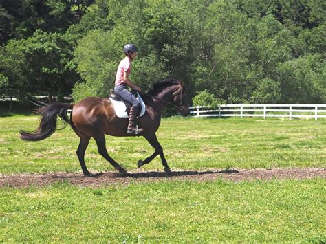 Workouts equibase data reveals which horses are the fastest 1