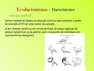 Fixismo E Evolucionismo Ppt