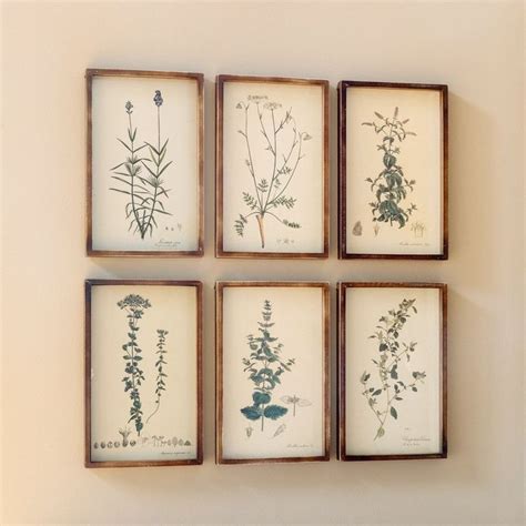 Botanical Vintage Style Framed Art Prints Set Of Botanical Prints