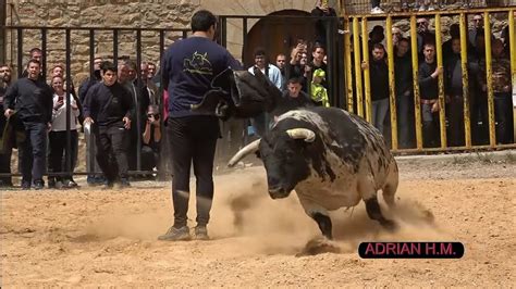 Puertomingalvo Te 13 05 2023 Resumen Matinal Ganuza Toro Cerril De