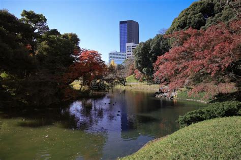 Koishikawa Korakuen Graden Japanese People And Tourists Nov