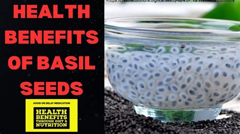 Health Benefits Of Basil Seeds Tukh Malanga Ke Fayde Youtube