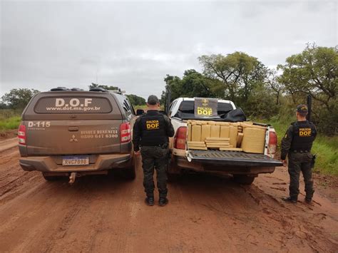 Caminhonete Mais De Uma Tonelada De Maconha Foi Apreendida Pelo DOF