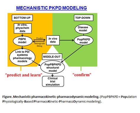 ‘middle Outjoined Up Thinking For Pkpd Model Based Learning And