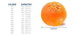 Calorias em 1 Média 6 Cm De Diâmetro Mexerica e Fatos Nutricionais