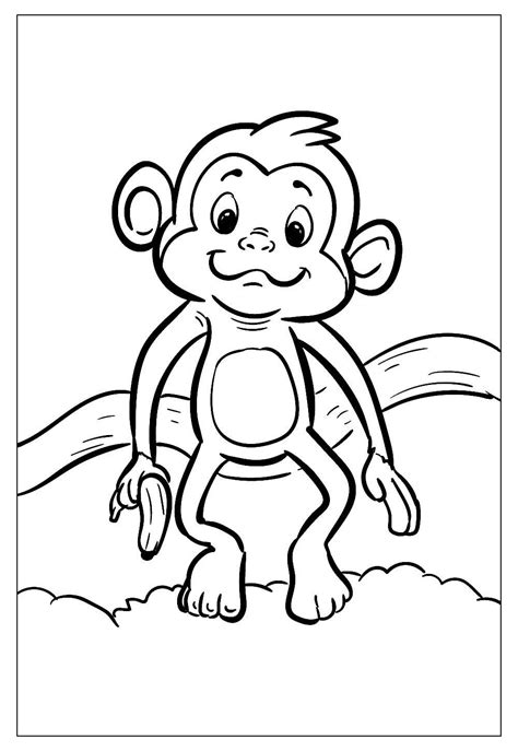 Desenhos De Macaco Para Colorir E Pintar Tudo Para Colorir