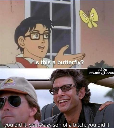 Is This Butterfly Is This A Pigeon Know Your Meme
