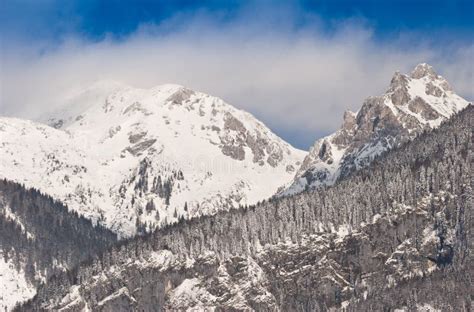 Alps in winter stock image. Image of glacier, freeze - 13921235