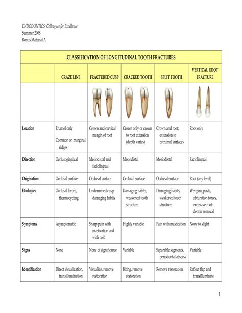 Classification Of Longitudinal Tooth Fractures DocsLib