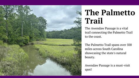 Awendaw Passage: Coastal Beauty and Palmetto Trail Gateway | S.H. June