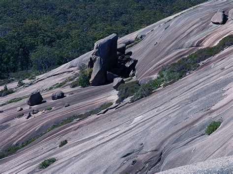 Girraween And Bald Rock National Parks Nature Bound Tours
