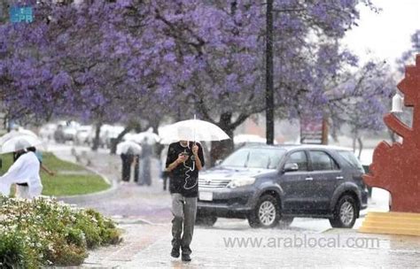 Higher Than Average Rainfall Expected In Saudi Arabia S Fall Season