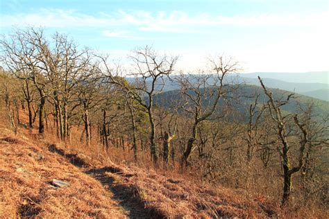 Ouachita Trail 02 Winding Stair Th To Highpoint To Saddle 237 To 26