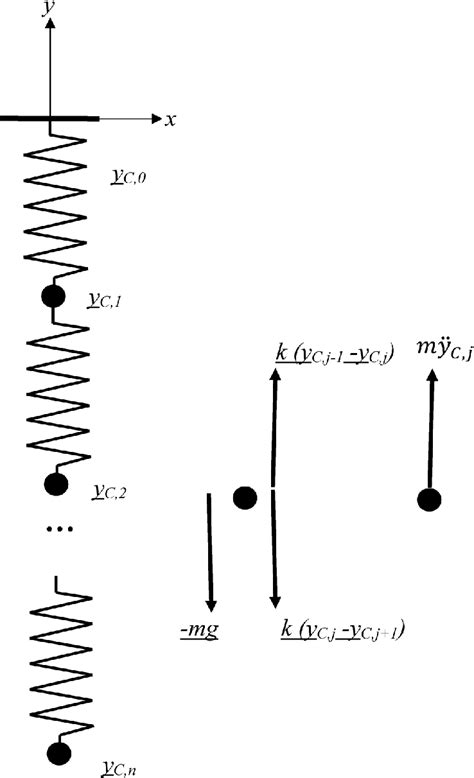 Point Mass Model Of A Slinky Its Free Body Diagram And Mass Download Scientific Diagram