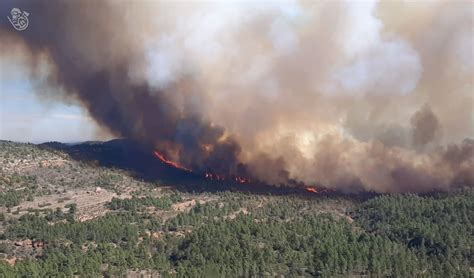 Incendi Nel Foggiano A Rischio Ettari Di Macchia Mediterranea