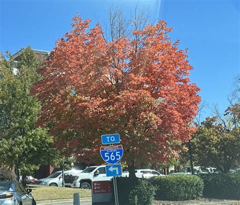 Danielle Dozier News 19 On Twitter Loving The Fall Foliage