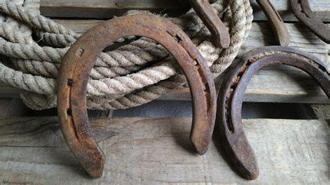 Horseshoes Antique Rusty Iron Horseshoes Set Of 5 Vintage Hand Etsy