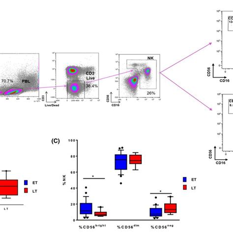 A The Gating Strategy To Identify Natural Killer Nk Cells And Their Download Scientific