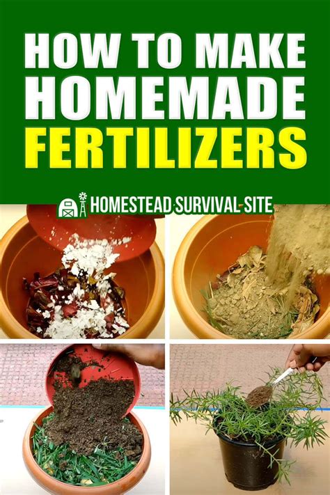 How To Make Homemade Fertilizers Artofit