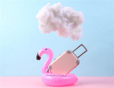 Premium Photo Travel Luggage With Inflatable Flamingo And Fluffy