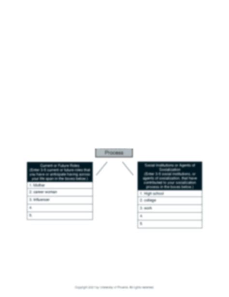 Solution Soc100 V9 Wk2 Socialization Mind Map And Reflection Worksheet