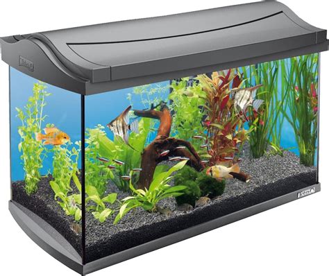 Aquarium Transparent Images Png Play