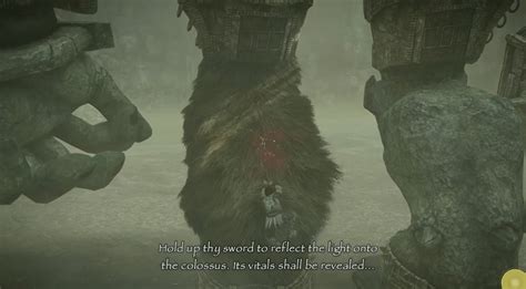 Guía de todos los colosos de Shadow of the Colossus KeenGamer