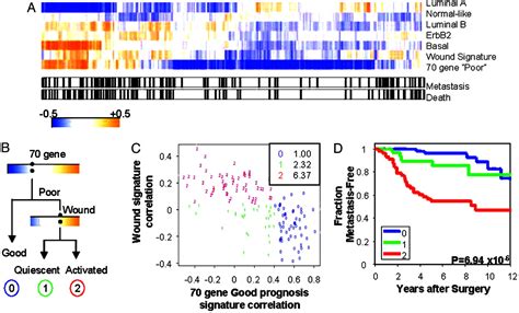 Robustness Scalability And Integration Of A Wound Response Gene