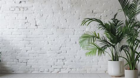 Premium Photo A White Brick Wall With A Plant In A Vase And A White