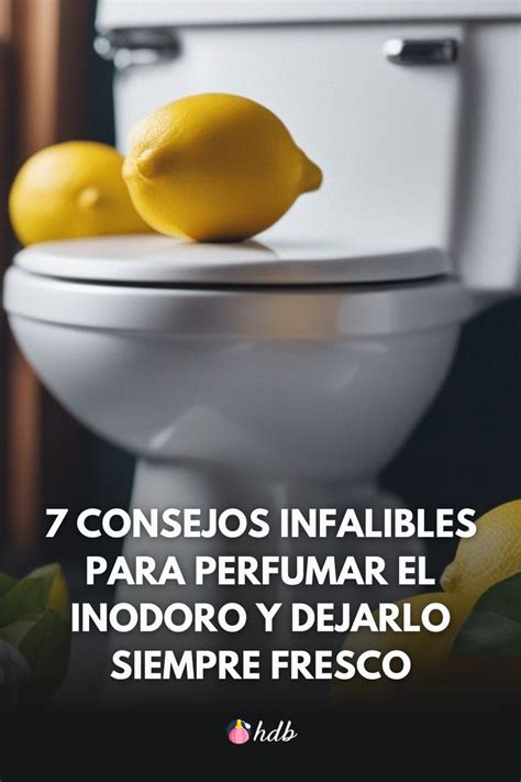 7 Consejos Infalibles Para Perfumar El Inodoro Y Dejarlo Siempre Fresco