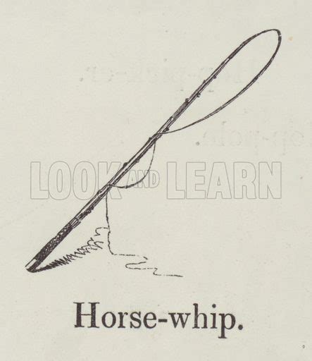 Horsewhip stock image | Look and Learn