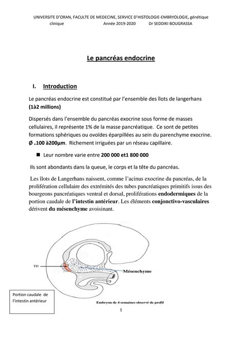 SOLUTION Histologie du pancréas endocrine Studypool