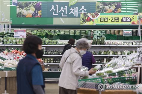 연합시론 먹거리 물가 또 비상근본 대책으로 민생 안정 꾀해야 연합뉴스