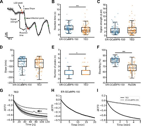 Comparison Of The Ted Method And Er Gcamp To Visualize Er Calcium