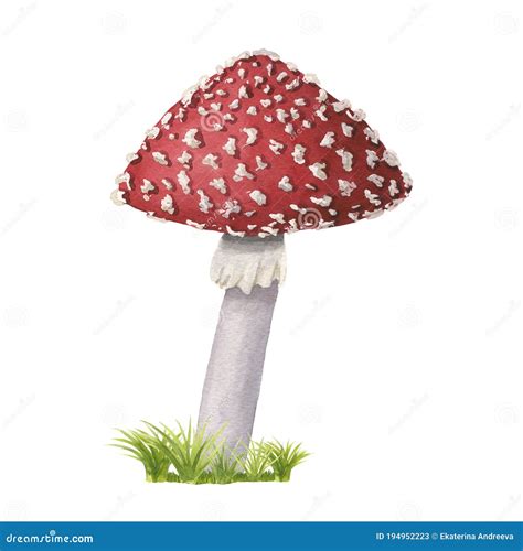 Redcap Mushroom Seamless Repeat Pattern Vector Illustration ...