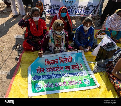 Indian Farmers Are Protesting Against New Farm Law In India At Delhi