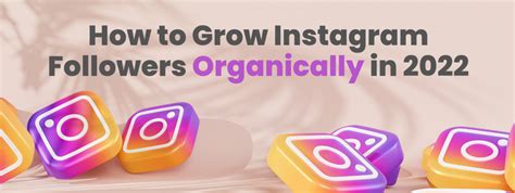 How To Grow Your Instagram Followers Organically In 2022 Plan Write Go