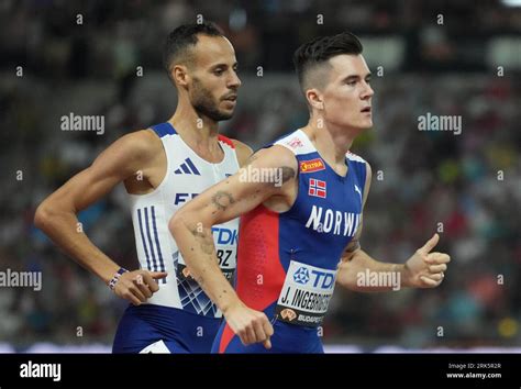 Jakob Ingebrigtsen Budapest Fotos Und Bildmaterial In Hoher