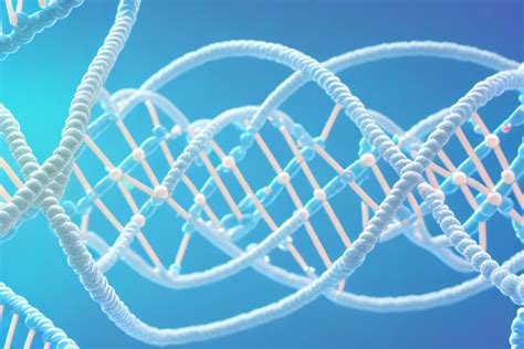 DNA's Instructions: Understanding the Role of mRNA in Protein Synthesis ...