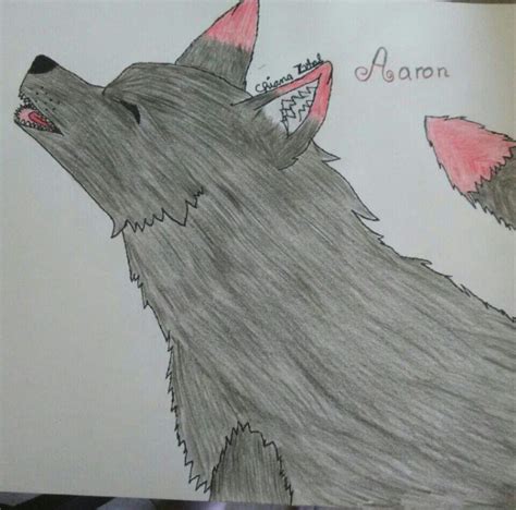 Aaron In Wolf Form Aphmau Amino