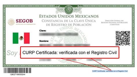 Cu Les Son Los Requisitos Para Tramitar La Curp Certificada El Ma Ana