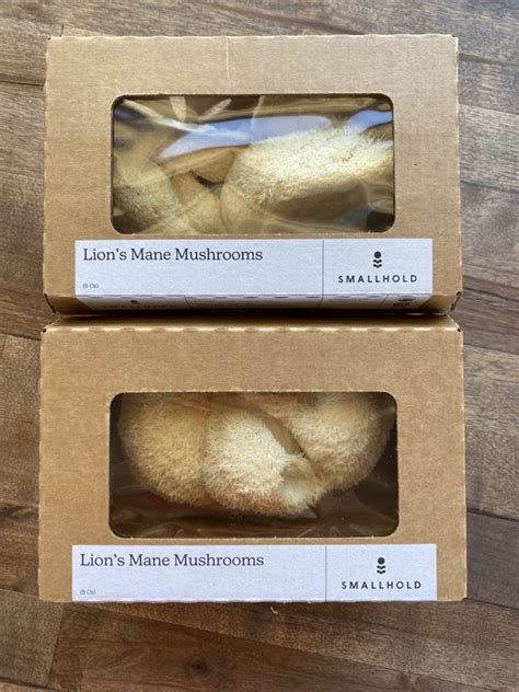 How To Make Spicy Cumin Lions Mane Mushrooms Woonheng