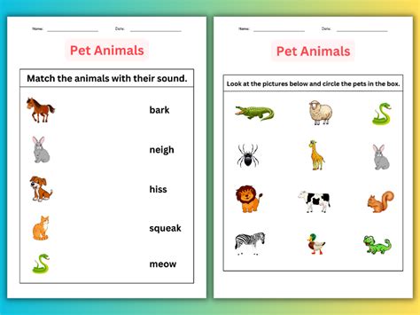 Printable Identifying And Mmatching Pet Animals Worksheet For Grade 1