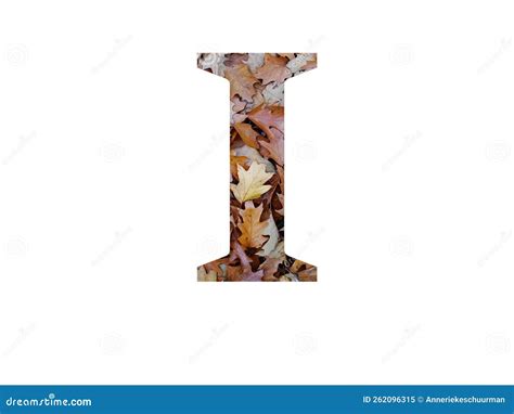 Letter I Of The Alphabet Made With Autumn Brown Oak Leaves Stock Image