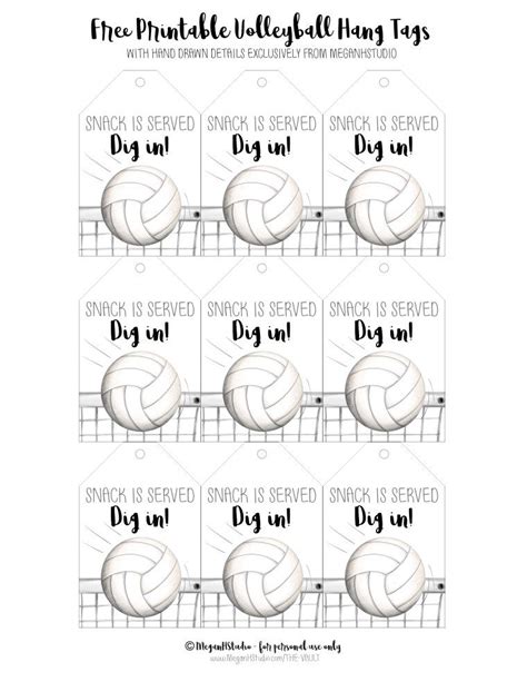 Printable Volleyball Tags With Instructions For How To Use Them