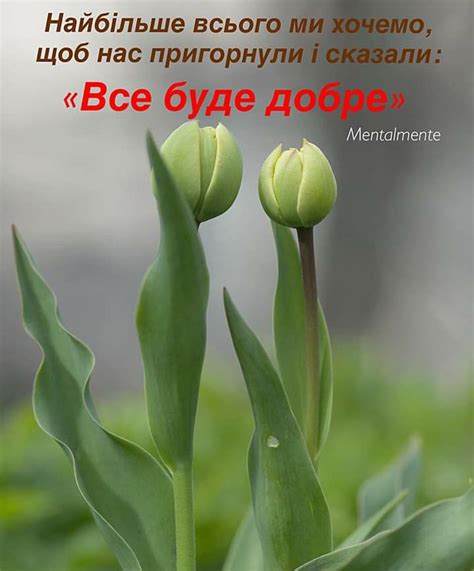 Create Meme Flowers Tulips Green Tulips Flowers Pictures Meme