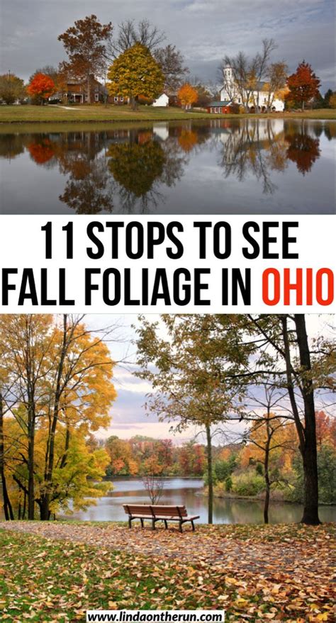 11 Best Places To See Fall Foliage In Ohio Places To See Ohio Travel