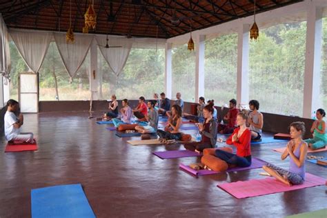 100 Hrs Yoga Teacher Training Goa India