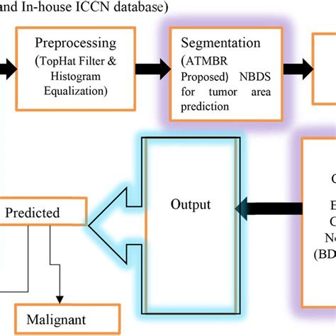 Block Diagram Of Proposed Computer‐aided Diagnosis System [color Figure Download Scientific