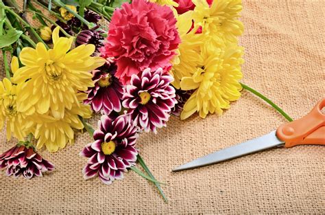 How To Make Cut Flowers Last Longer